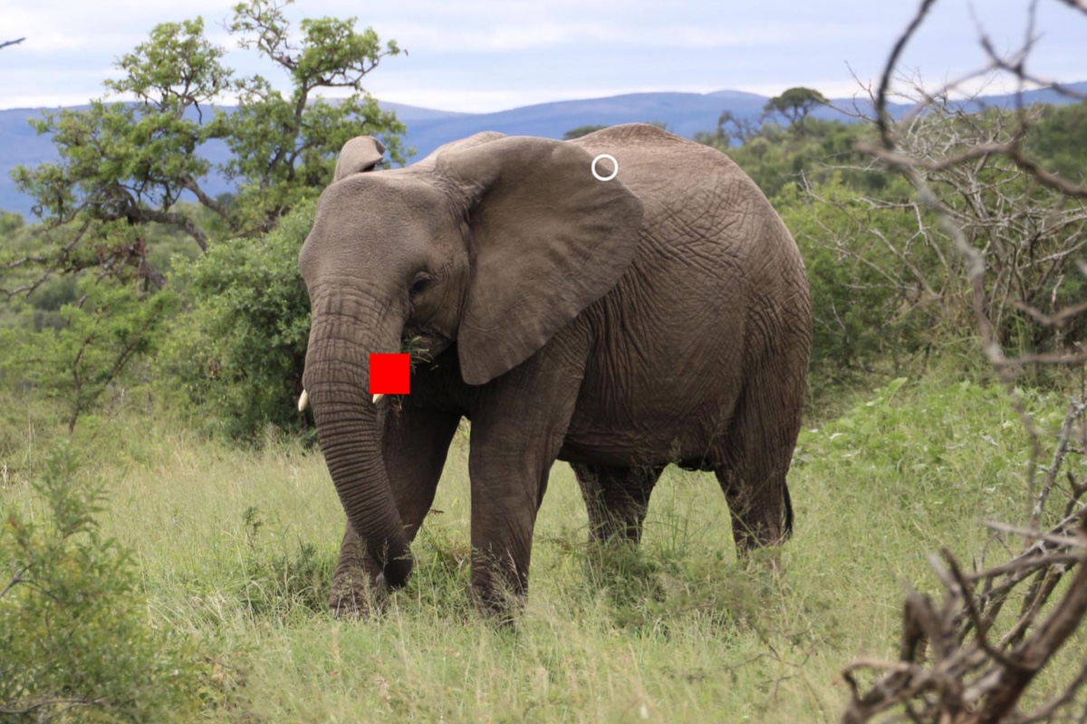 custom-marker-red-nostyle